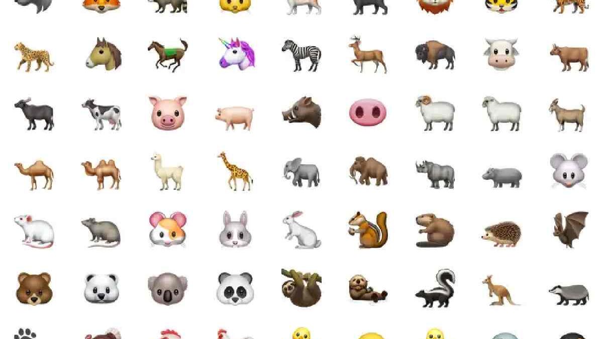 WhatsApp: what are the New Emojis that will Arrive in 2023
