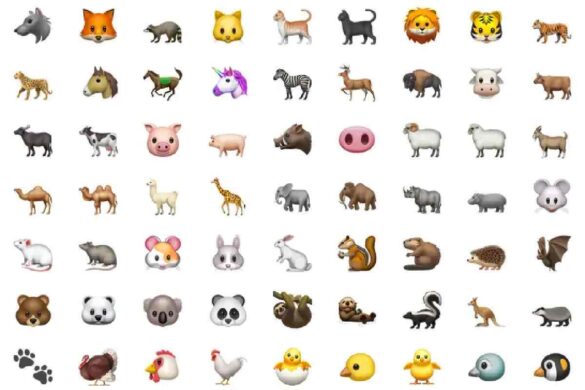 WhatsApp: what are the New Emojis