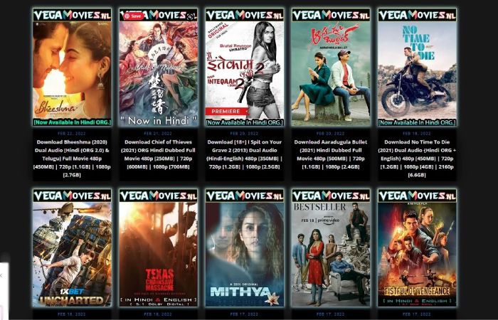How To Download Movies from Vegamoviesnl_