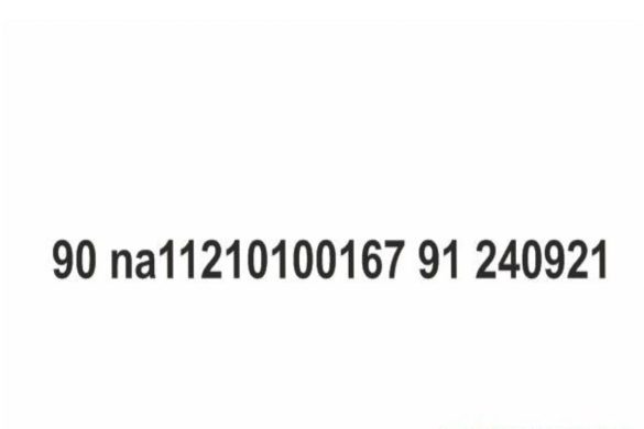 (90)na11210100167(91)240921