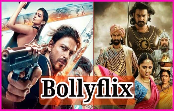 How Does Bollyflix Maza Website Work_