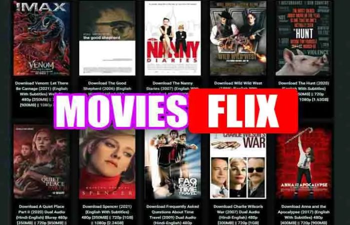 What is TheMovieflix.io_