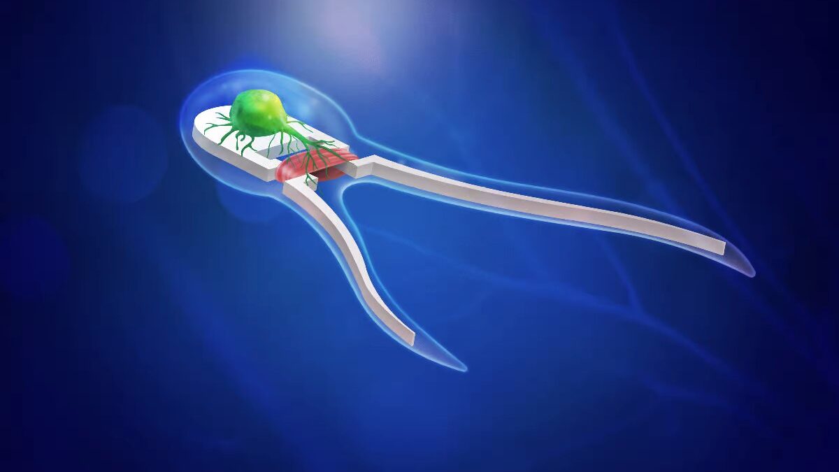 What Is A Biobot: Concept And Possible Uses