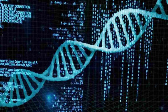 DNA Data Storage