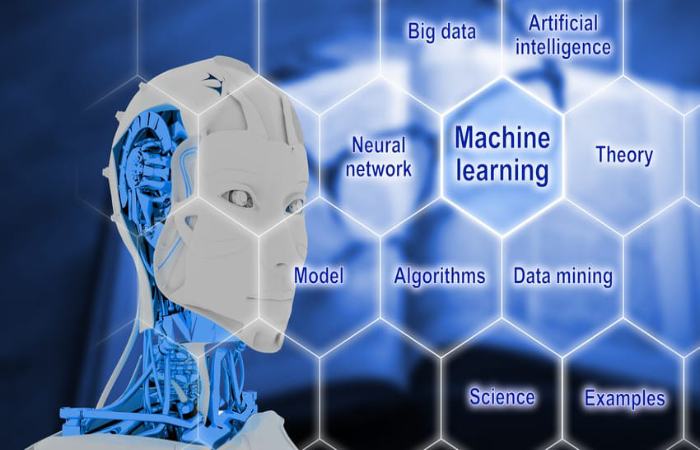 Artificial Neural Network Guest Post