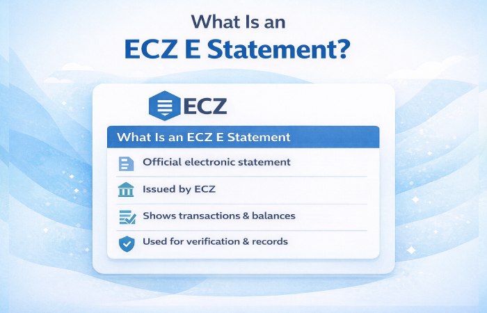 What Is an ECZ E Statement